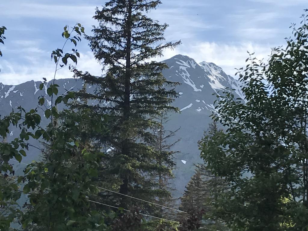 Resurrection River Rentals Seward Eksteriør bilde